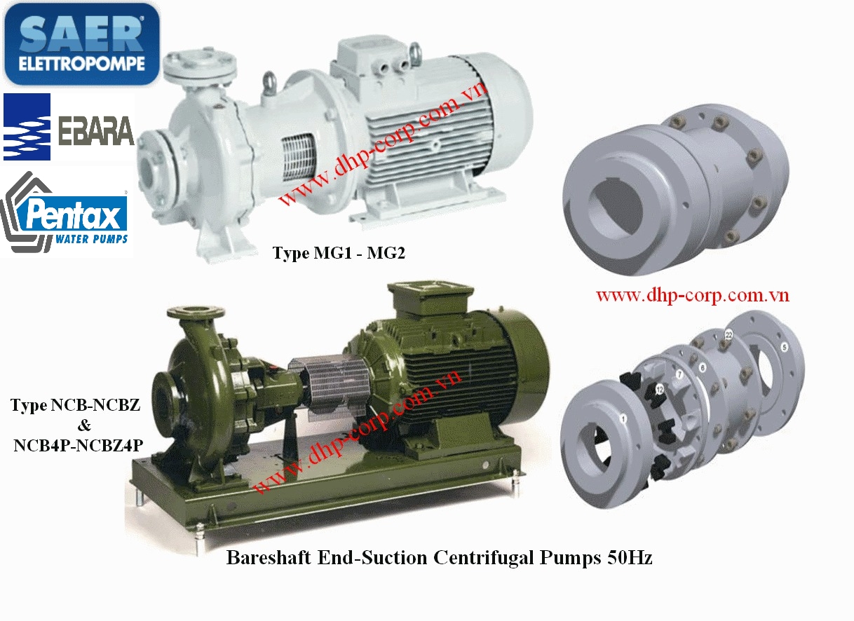 Khớp nối dùng cho máy bơm nước Saer N-EUPEX H 125